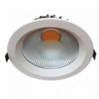 DL005-20W/N