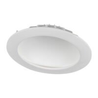 DL007-18W/N